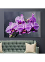Obraz na plátně - Květ fialová orchidej FeelHappy.cz