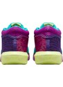 Basketbalové boty Nike LEBRON WITNESS VIII fb2239-500 EU