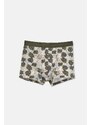 Dagi Dark Green 2-Pack Cotton Patterned Boxer