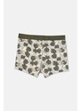 Dagi Dark Green 2-Pack Cotton Patterned Boxer