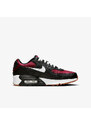 NIKE AIR MAX 90 LTR GS