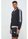 Kraťasy adidas TIRO pánské, černá barva, IP3793