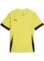 Dres Puma teamGOAL Matchday Jersey jr 705748-23