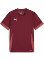 Dres Puma teamGOAL Matchday Jersey jr 705748-09