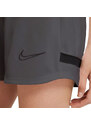 Dámské šortky Dri-FIT Academy W CV2649 060 - Nike