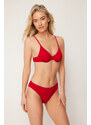 Trendyol Red Textured Regular Bikini Bottom