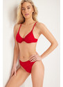 Trendyol Red Textured Regular Bikini Bottom