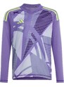 Dres s dlouhým rukávem adidas T24 C GK JSY LY in0430