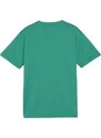 Triko Puma teamGOAL T-Shirt 658637-05