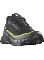 Salomon ALPHACROSS 5 GORE-TEX Black / Peat / Sulphur Spring