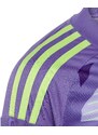 Dres s dlouhým rukávem adidas T24 C GK JSY LY in0430