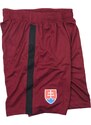 Šortky Nike SFZ M SHORT GK PR cd8374-677