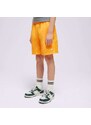 Nike Šortky B Nk Df Multi Wvn Dítě Oblečení Kraťasy a šaty DX5382-836