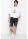 Trendyol Anthracite Skinny Fit Destroyed Shorts & Bermuda