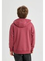 DEFACTO Regular Fit Hooded Sweatshirt