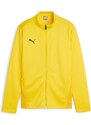 Bunda Puma teamGOAL Training Jacket Jr 658634-07