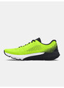 Under Armour Boty UA BGS Charged Rogue 4-YLW - Kluci