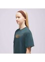 Nike Tričko G Nsw Tee Boxy Metallic Hbr Girl Dítě Oblečení Trička FJ6785-328