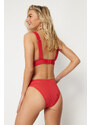 Trendyol Red Textured Regular Bikini Bottom