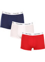 3PACK pánské boxerky Calvin Klein vícebarevné (U2664G-I03)