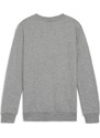 Mikina Puma teamGOAL Casuals Crew Neck Sweat Jr 658593-33