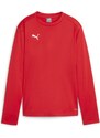 Mikina Puma teamGOAL Training Sweat Wmns 658652-01