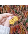 Mairi Wanetta - náušnice velké květy hořčicové