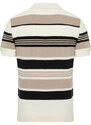 Trendyol Multi Color Regular Fit Striped Knitwear Polo Neck T-Shirt