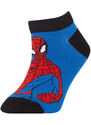 DEFACTO Boy Spiderman Licensed 3 piece Short Socks