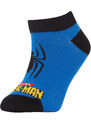 DEFACTO Boy Spiderman Licensed 3 piece Short Socks