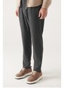 Avva Men's Anthracite Wool Pleated Stripe Relaxed Fit Casual Cut Suit Pants