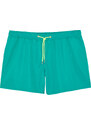 Trendyol Plus Size Green Standard Fit Marine Shorts