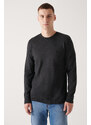 Avva Men's Anthracite Crew Neck Wool Regular Fit Sweater