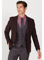 ALTINYILDIZ CLASSICS Men's Burgundy-Grey Slim Fit Slim Fit Mono Collar Patterned Vest Suit