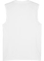 Dres Puma teamGOAL Sleeveless Jersey 705913-04