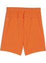 Šortky Puma teamGOAL Shorts Jr 705753-08