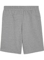 Šortky Puma teamGOAL Casuals Shorts Jr 658609-33 128