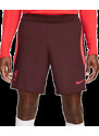 Pánské fotbalové šortky Nike Liverpool FC 22/23 Strike Elite Č