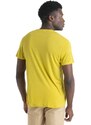 ICEBREAKER Mens Merino Core SS Tee Waschbar Wandering, Lux velikost: L