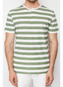 Trendyol Gray Regular/Regular Fit Buttoned Collar Striped 100% Cotton T-Shirt