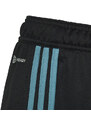 Kalhoty adidas Tiro 23 Club Training Jr IC1588