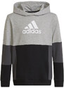 Mikina adidas Colourblock Hoodie Jr HN8563