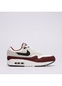 Nike Air Max 1 Muži Boty Tenisky FD9082-106