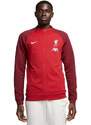 Mikina Nike Liverpool FC Academy Pro M DV5050-687