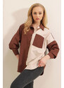 Bigdart 20116 Color Block Shirt - Brown