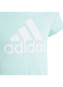 Bavlněné tričko adidas Essentials Big Logo Tee Jr IM0279