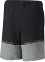 Šortky Puma teamCUP Casuals Shorts Jr 658428-003