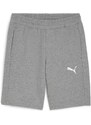 Šortky Puma teamGOAL Casuals Shorts Wmn 658611-33