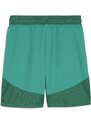 Šortky Puma teamFINAL Shorts 705743-05