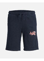 JACK&JONES JPSTLOGO SWEAT SHORTS 2 COL SN GMS JNR